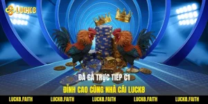 Đá Gà Trực Tiếp C1